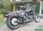 2009 Harley-Davidson Softail for Sale