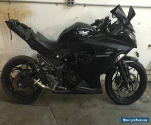 Motorcycle 2013 Kawasaki Ninja for Sale