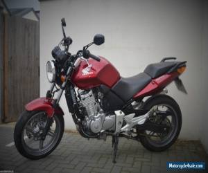 Motorcycle 2007 HONDA CBF 500 A-6 RED for Sale