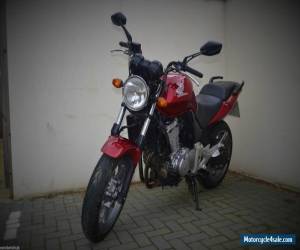 Motorcycle 2007 HONDA CBF 500 A-6 RED for Sale