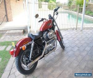 Motorcycle HARLEY DAVIDSON 883 Sportster for Sale