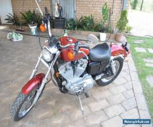 Motorcycle HARLEY DAVIDSON 883 Sportster for Sale