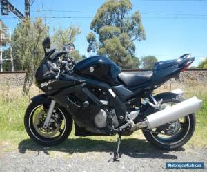 Motorcycle SUZUKI SV 1000 S 2006 Runs and rides Perfect Great Value @ $4995 for Sale