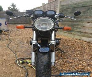 Motorcycle SUZUKI GS500E for Sale