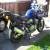 suzuki bandit 600, 2000 Xreg for Sale