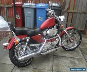 Motorcycle 2000 HARLEY-DAVIDSON XL883C SPORTSTER RED for Sale