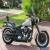 2010 Harley-Davidson Softail for Sale