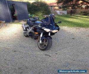 Motorcycle SUZUKI TL1000s TL 1000s ......1999 model for Sale