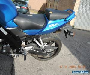 Motorcycle SUZUKI SV650 N 2006 MODEL GREAT V-TWIN NAKED SPORTS CHEAP for Sale