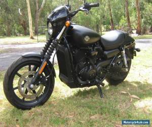 Motorcycle HARLEY DAVIDSON STREET 500 XG 2015' 1100Klms LAMS approved for Sale