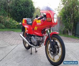 Motorcycle 1983 ducati pantah 500sl for Sale