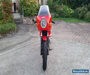 Motorcycle 1983 ducati pantah 500sl for Sale