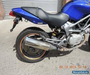 Motorcycle HONDA VTR250 GREAT LAMS LEARNER BIKE V TWIN 2007 for Sale