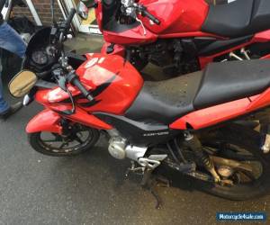 Motorcycle 2013 HONDA CBF 125 M-B RED for Sale