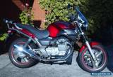 2003 Moto Guzzi Breva 750, low kms, RWC, new everything, ready to ride! for Sale