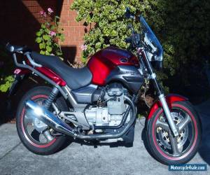 Motorcycle 2003 Moto Guzzi Breva 750, low kms, RWC, new everything, ready to ride! for Sale