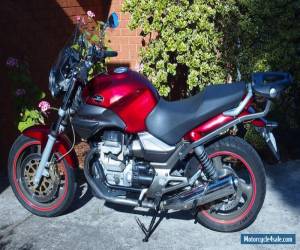 Motorcycle 2003 Moto Guzzi Breva 750, low kms, RWC, new everything, ready to ride! for Sale