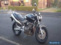 HONDA HORNET 600 F3 2003 