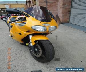 Motorcycle TRIUMPH 955i DAYTONA 1998 MODEL T595 YELLOW GREAT BIKE SPORTS  CLEAR TITLE for Sale