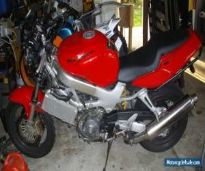 Motorcycle Honda VTR1000 Firestorm Streetfighter - No Reserve - for Sale