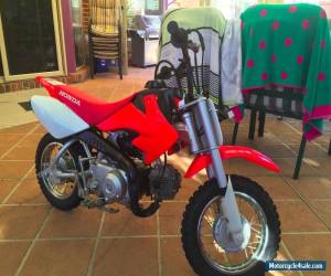 Motorcycle Honda CRF50F for Sale