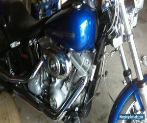 Motorcycle Harley Davidson Custom Softail for Sale