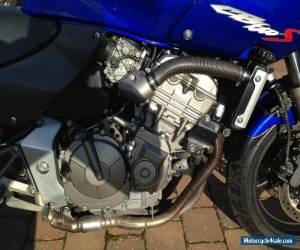 Motorcycle 2001 HONDA CB600 F2-Y BLUE HORNET for Sale