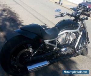 Motorcycle 2004 Harley-Davidson VRSC for Sale