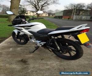 Motorcycle Honda CBF 125 - FANTASTIC CONDITION!! for Sale