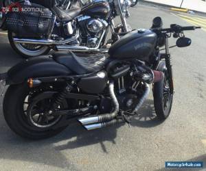 Motorcycle 2012 Harley Davidson Iron 883 4400km for Sale