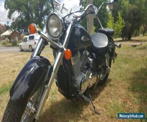 Motorcycle Honda vt400c Shaddow for Sale