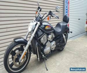 Motorcycle Harley Davidson Vrod NO RESERVE , price dropped for Sale