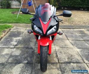 Motorcycle HONDA CBR1000rr FIREBLADE for Sale