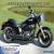 2013 Harley-Davidson Softail for Sale