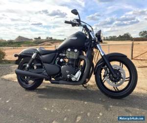 Motorcycle Triumph Thunderbird Storm ABS (Custom) 2012 (Harley Killer) for Sale