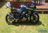 Kawasaki Ninja 250R Road Bike Motorcycle Yamaha Monster Energy Lams Honda Ducati for Sale