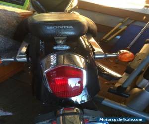 Motorcycle Honda Shadow 2003 for Sale