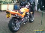 HONDA CB600  Hornet for Sale