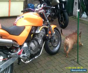 Motorcycle HONDA CB600  Hornet for Sale