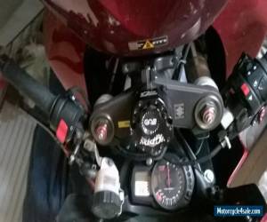 Motorcycle 2006 SUZUKI GSXR1000 TRACK BIKE (LOW MILEAGE) for Sale