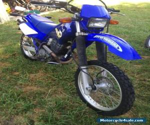 Motorcycle Yamaha TTR250 for Sale