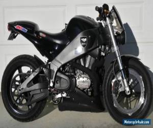 Motorcycle 2008 Buell Lightning for Sale