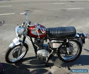 Motorcycle 1965 Ducati Other for Sale