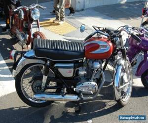 Motorcycle 1965 Ducati Other for Sale