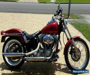 Harley Davidson 2004 Softail Standard  for Sale