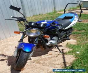 suzuki gs500f for Sale