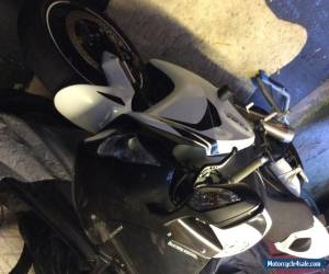 2008 HONDA CBR 1000 RR-8 WHITE for Sale