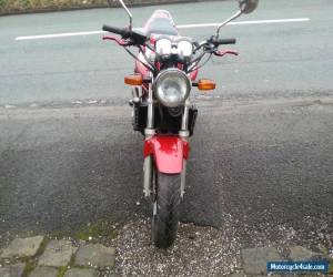 Motorcycle Honda Hornet 600   very low miles  with extras for Sale