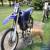 2006 Yamaha YZ 250 for Sale