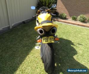 Motorcycle 2005 Yamaha R1 50th Anniversary Motorcycle for Sale